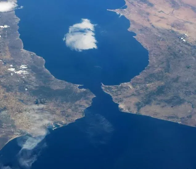 Via Morocco to Seize European New Energy Market! MYU Helps You Connect Globally