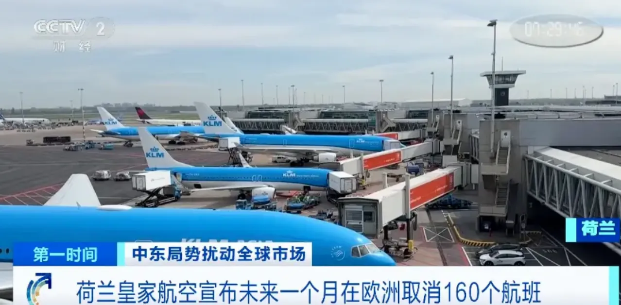 荷兰皇家航空停飞计划